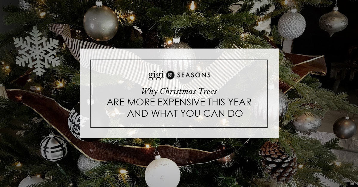Buy A Christmas Tree Online Learn Why Christmas Trees Are More
