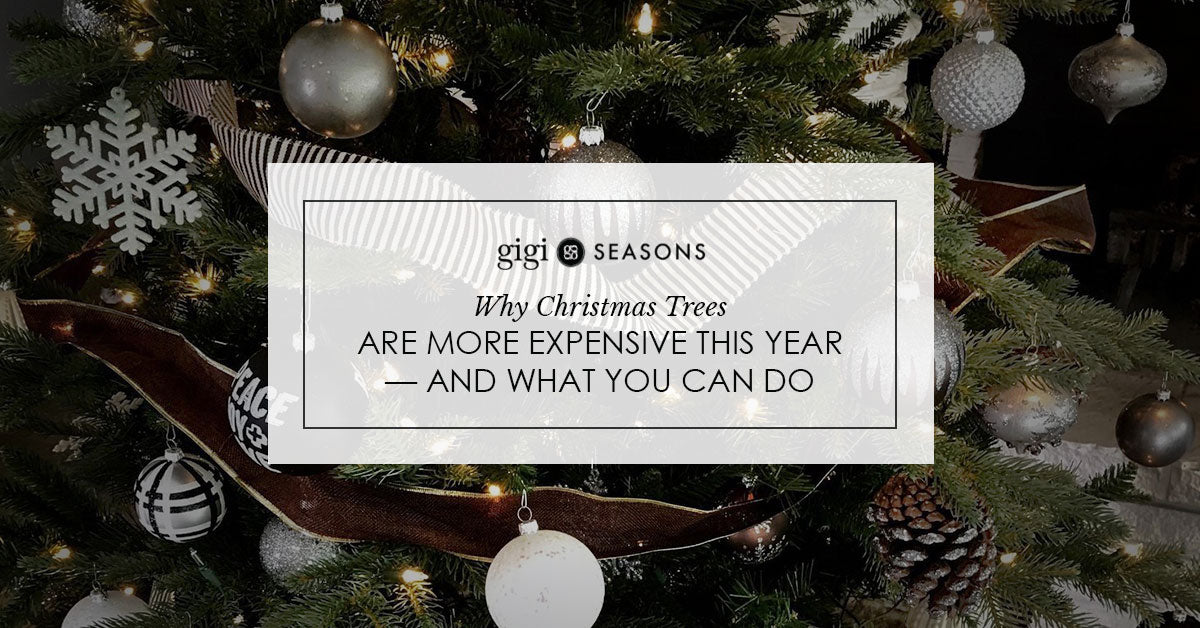 Why Christmas Trees Are More Expensive This Year — And What You Can Do